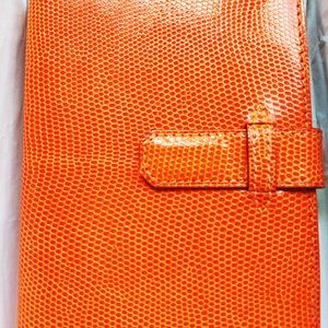 HERMES PARIS Orange & Stunning!